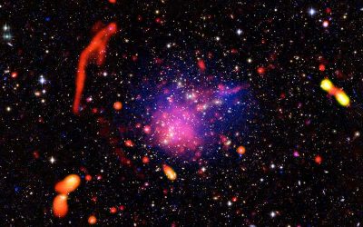 Distant galaxies moving in sync hint at cosmic web across the universe