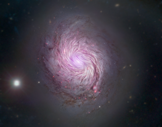 How to Shape a Spiral Galaxy