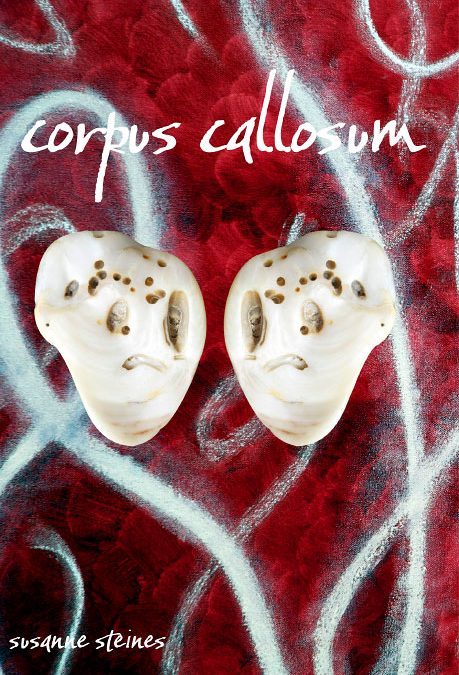 Corpus Callosum A Novel