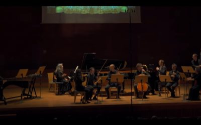 Martha Argerich & Pablo Galdo play The Carnival of animals by Saint Saëns